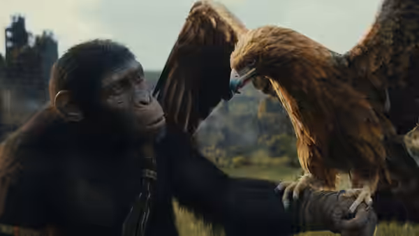 A chimpanzee holds its arm out to a large eagle perched on its hand