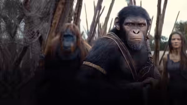 A chimpanzee stands in front of an orangutan and a woman among wooden poles