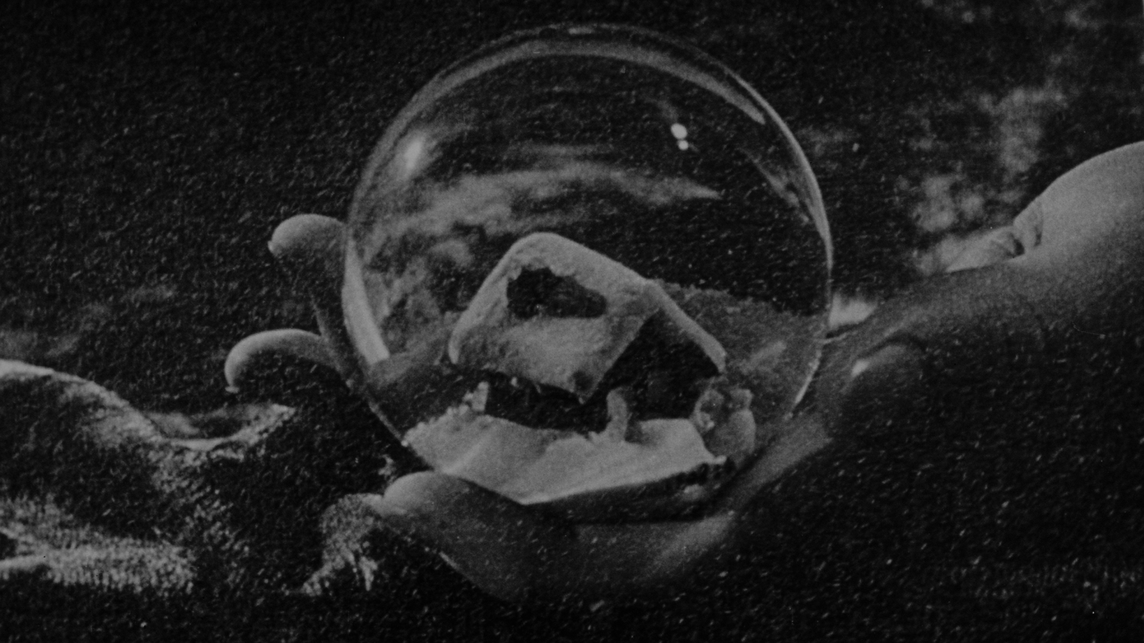 Citizen Kane, still 2