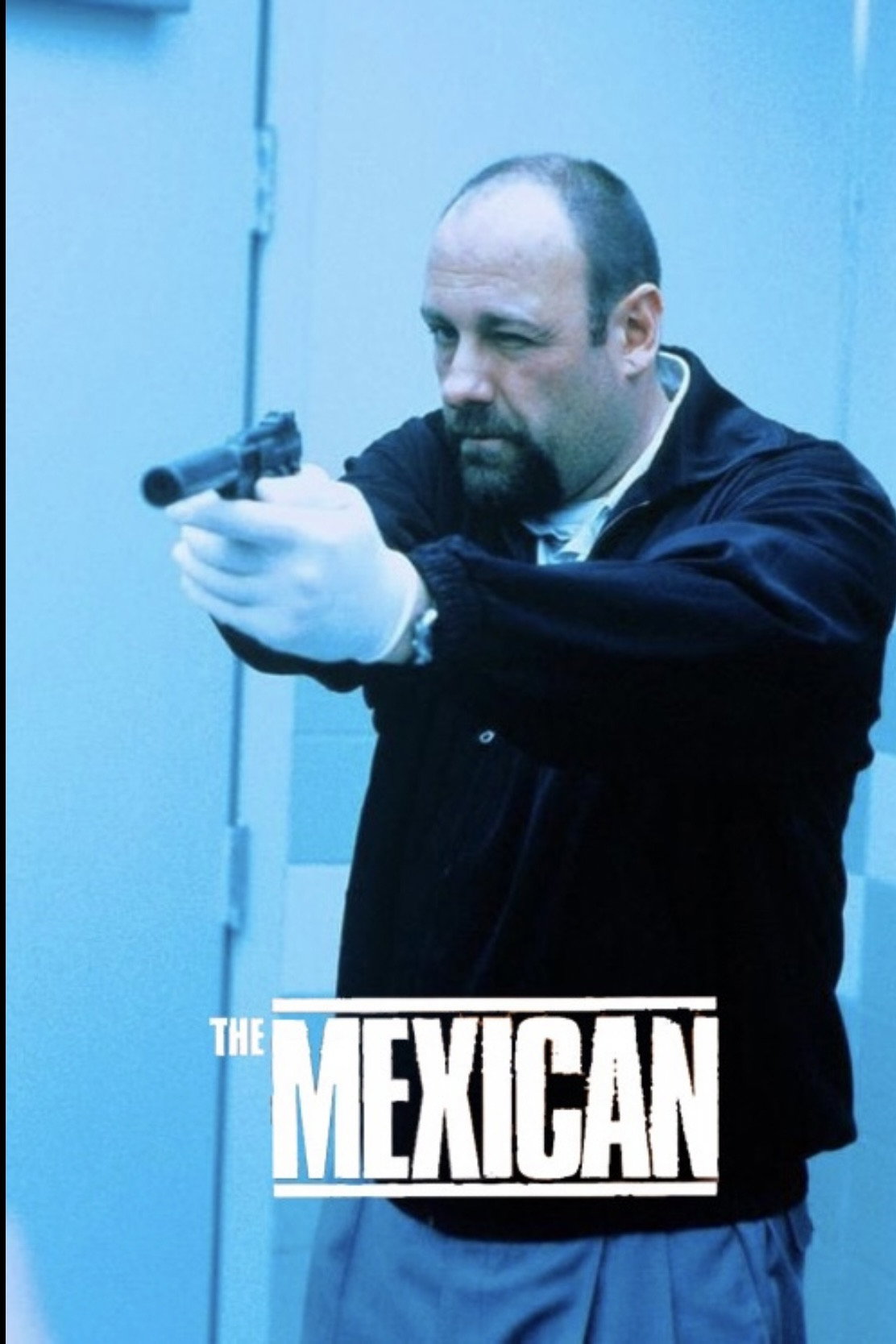 The Mexican poster 3