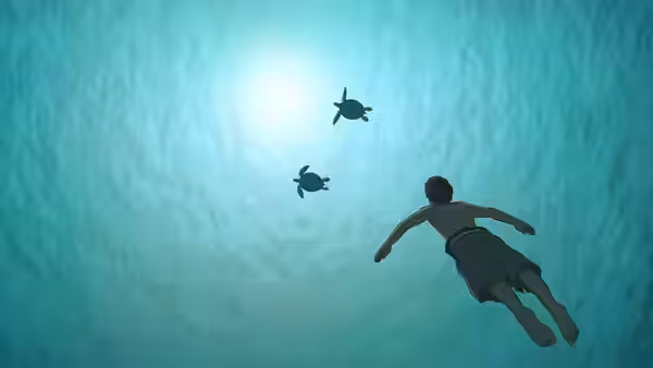 A man swims underwater toward two small turtles under a bright surface light