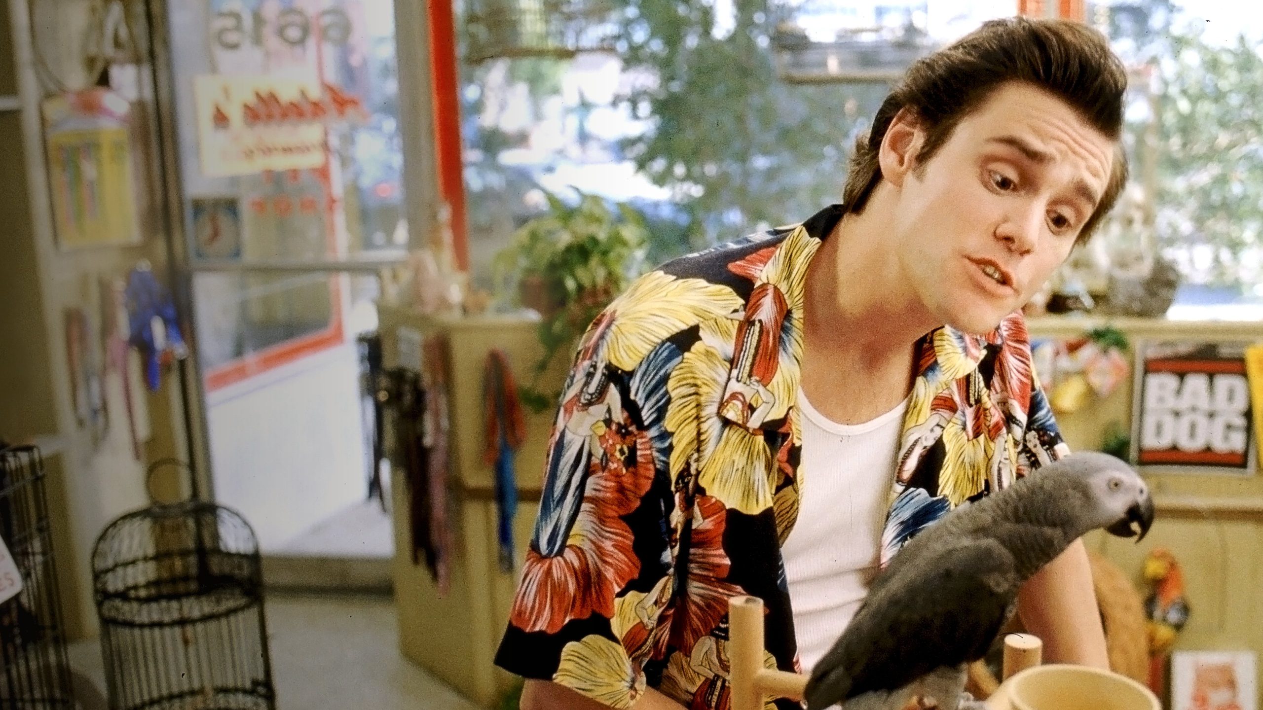 Ace Ventura: Pet Detective, still 4