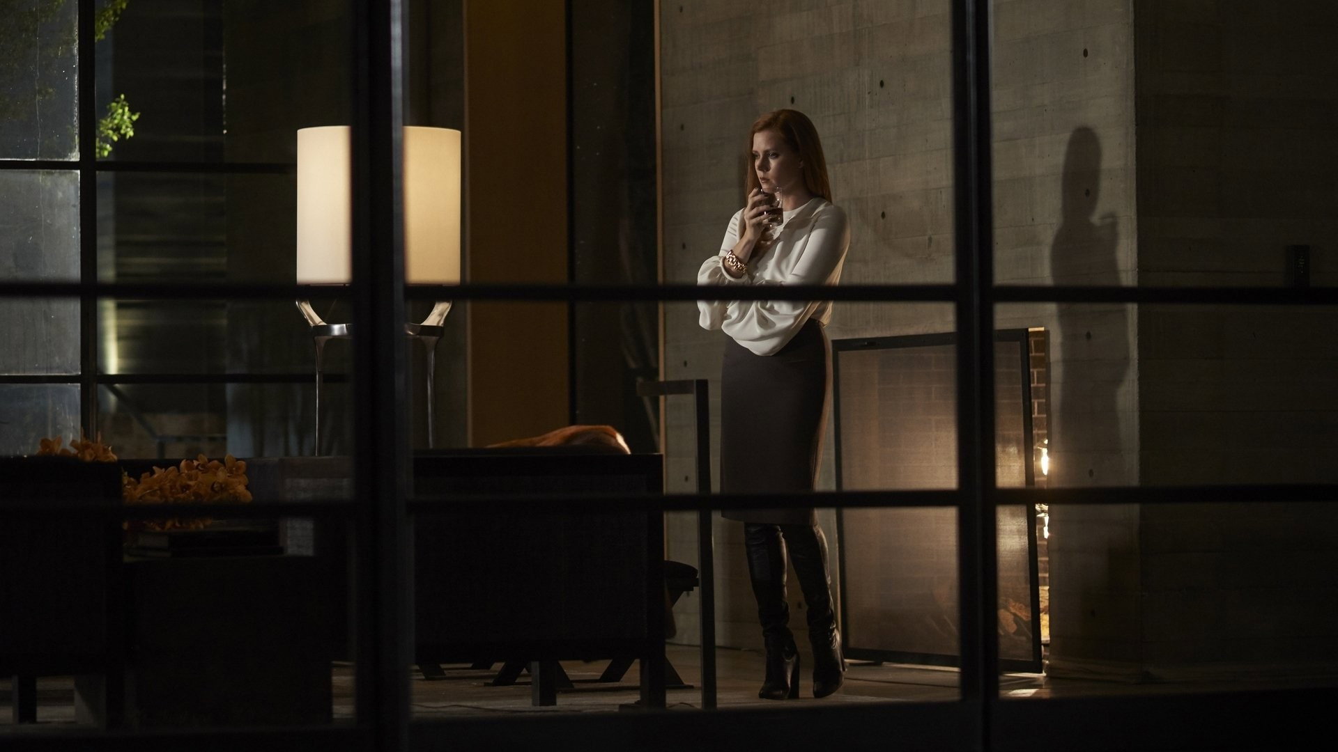 Nocturnal Animals, still 6