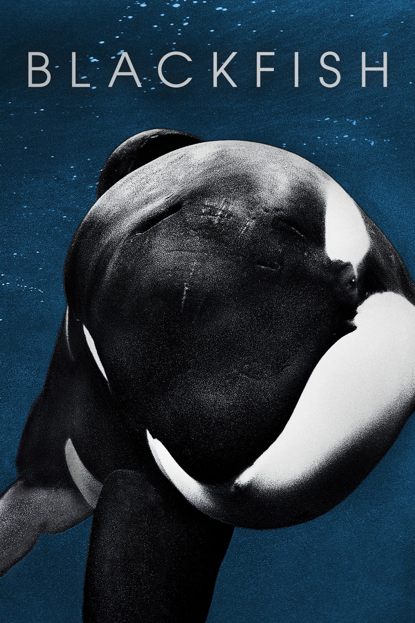 Blackfish poster 1