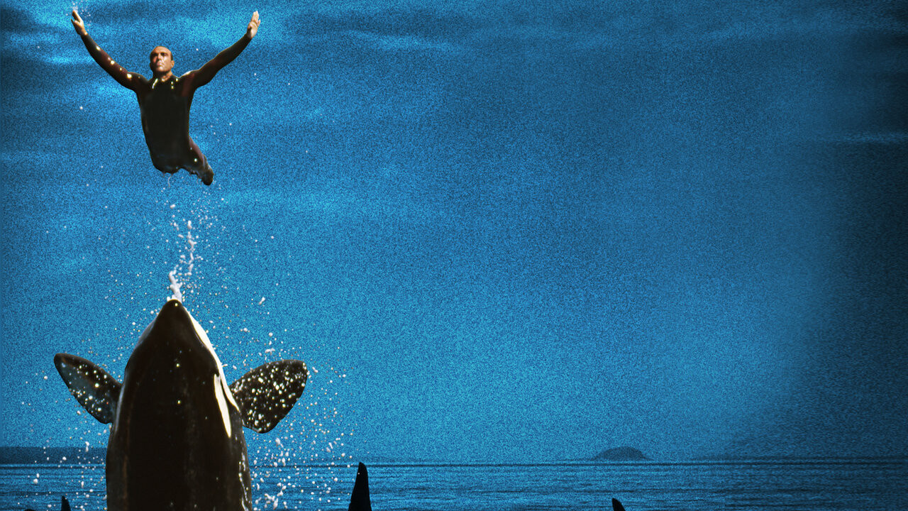 Blackfish, still 2