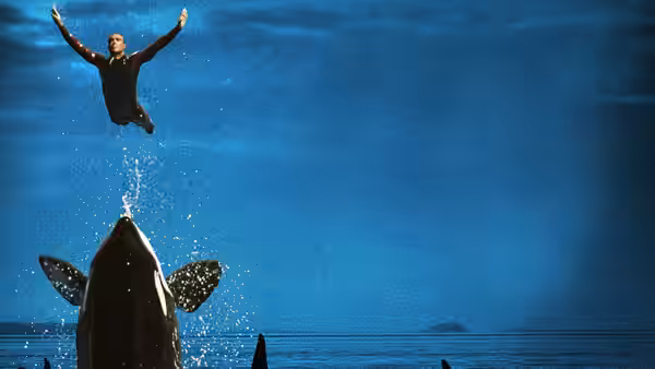 A man in a wetsuit leaps above an orca splashing in the sea