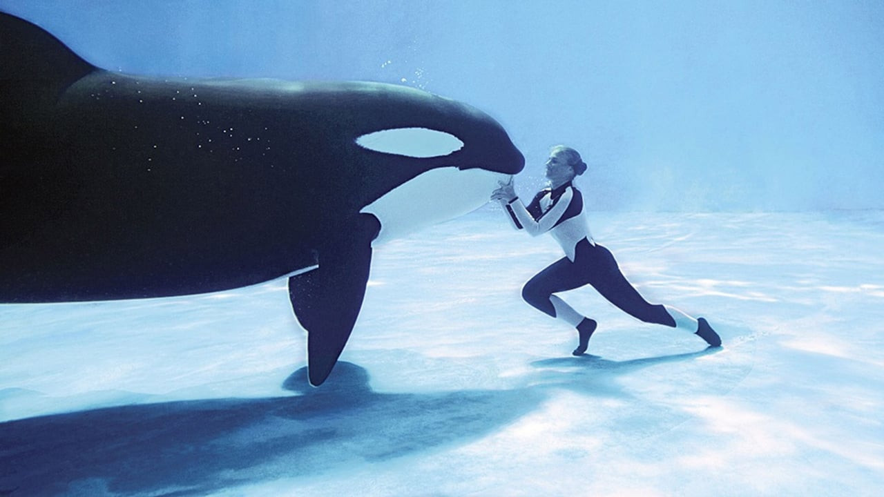 Blackfish, still 1