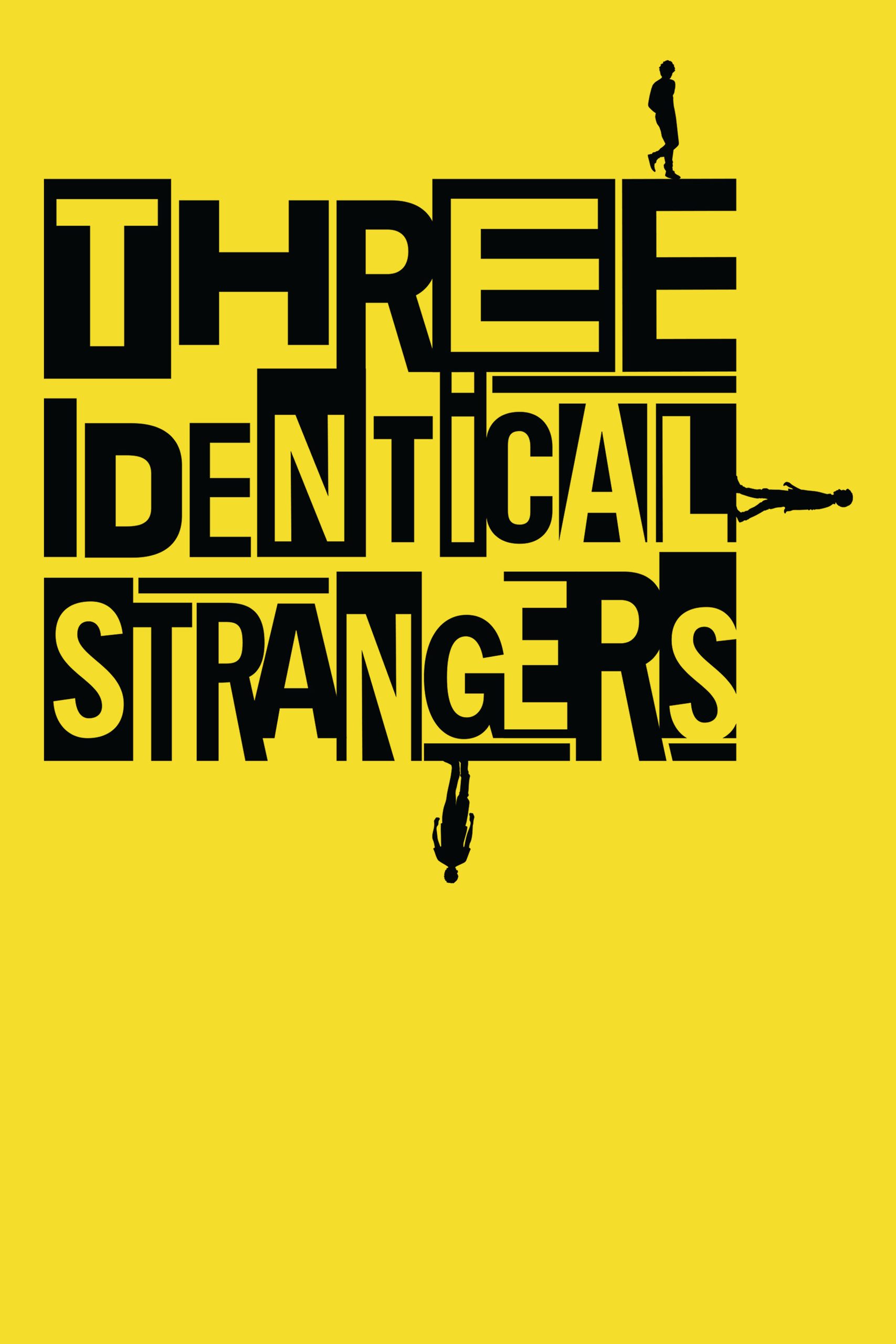 Three Identical Strangers poster 2