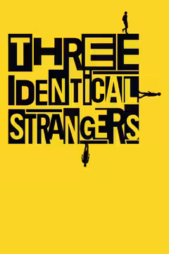 Three Identical Strangers poster 2