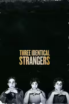 Three Identical Strangers poster 3