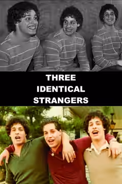 Three Identical Strangers poster 4