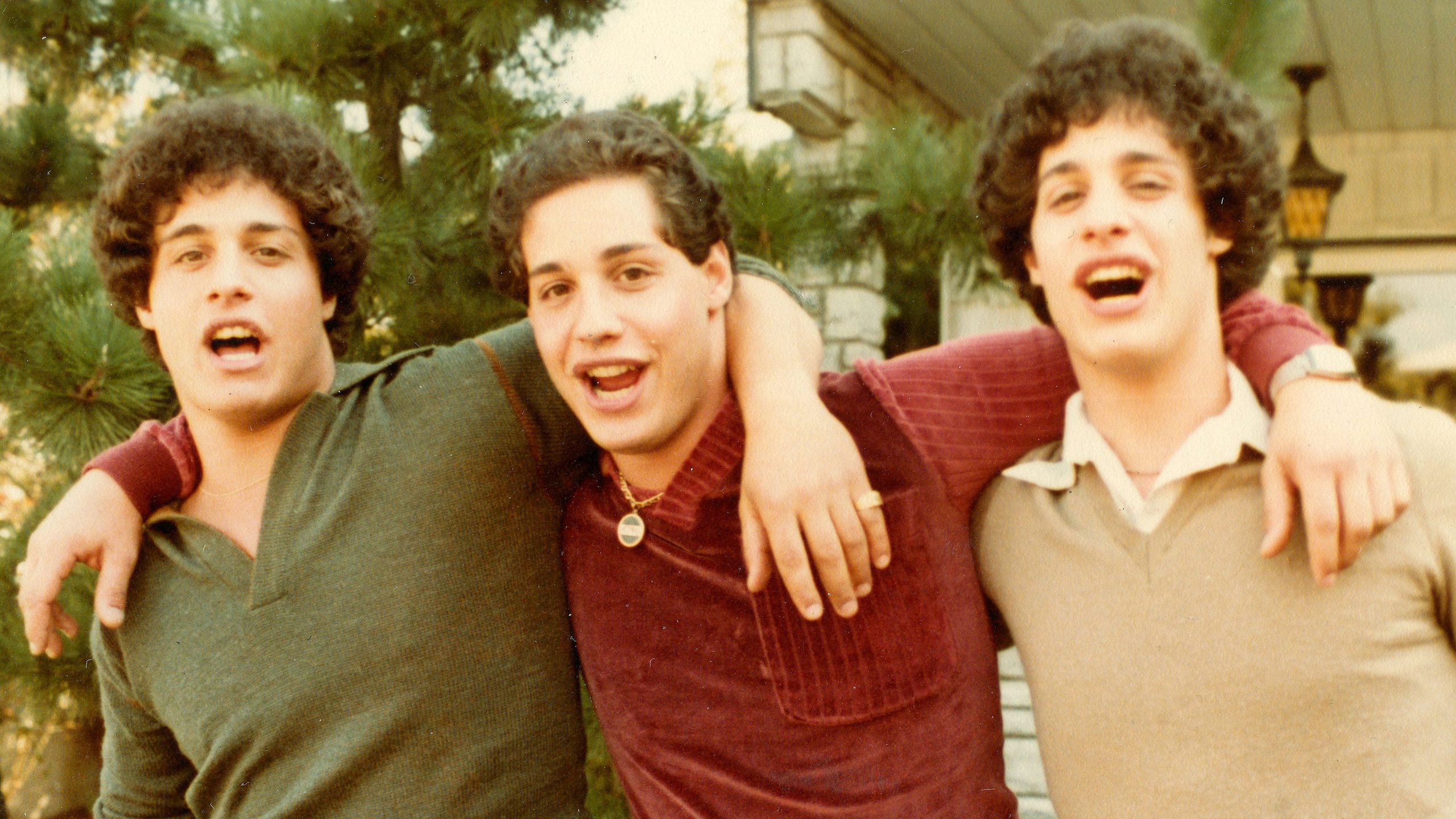 Three Identical Strangers, still 3