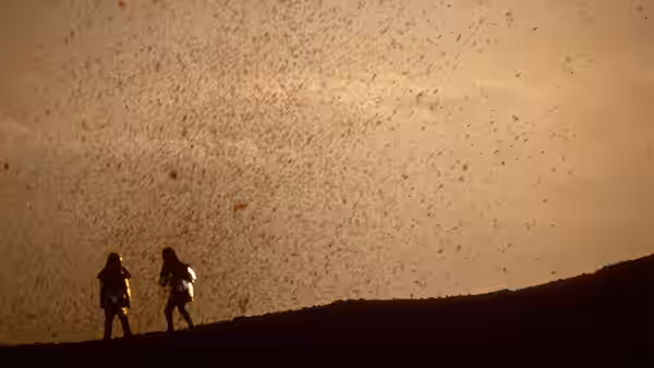 Two people walk a ridge under a sky filled with floating particles