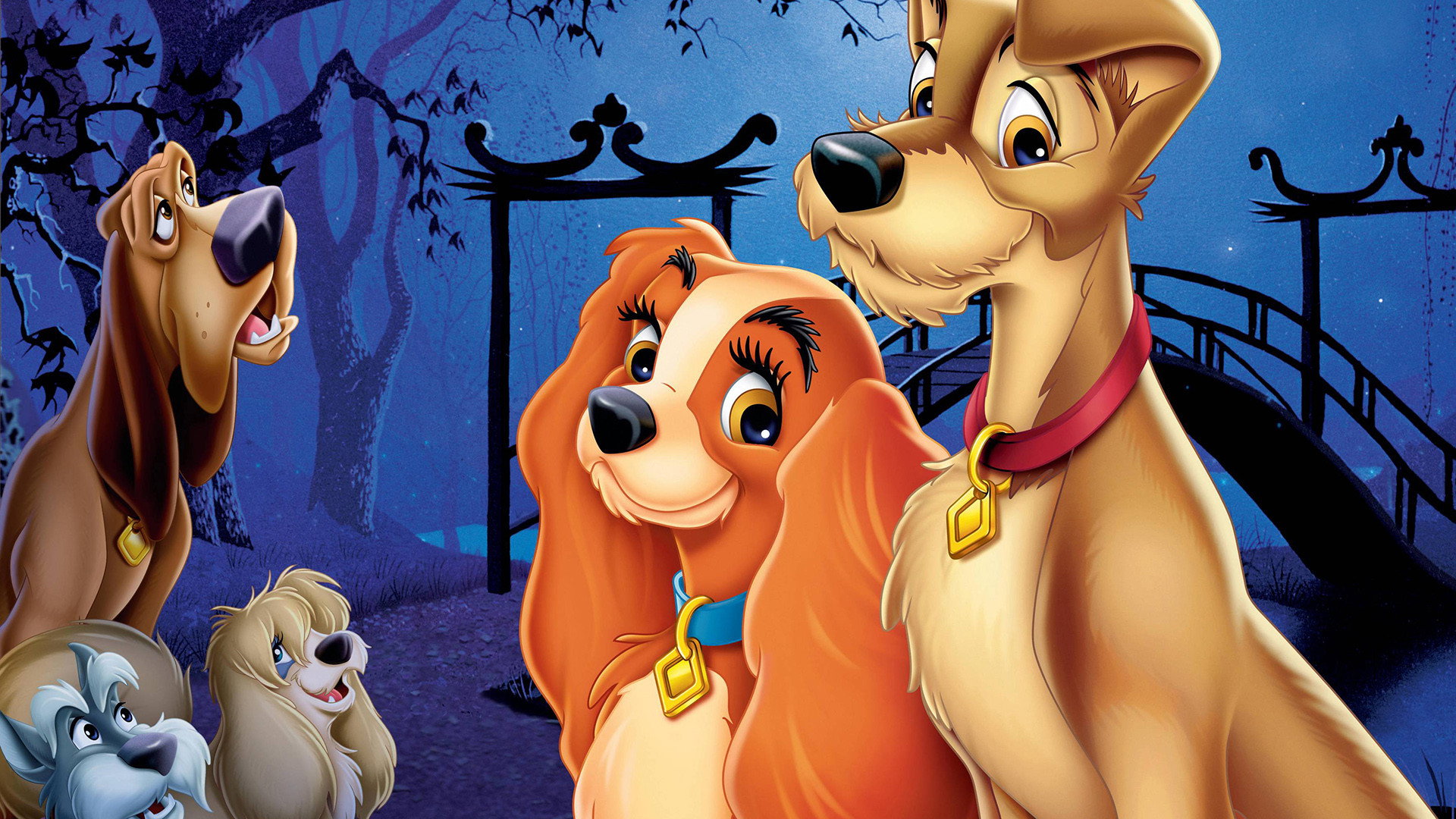 Lady and the Tramp, still 5