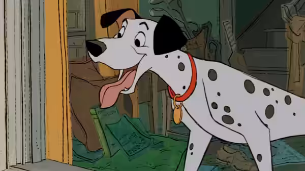 Pongo stands panting with tongue out in an open doorway