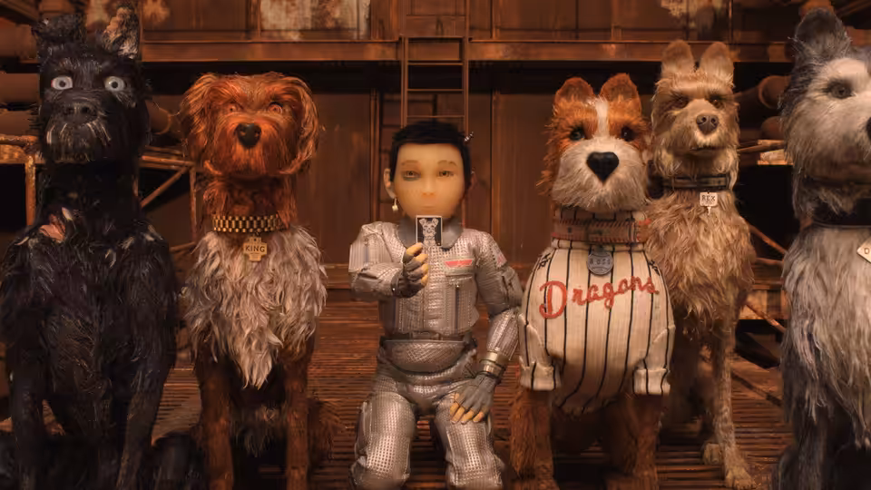 Boy in silver suit kneels among five dogs in a wooden interior