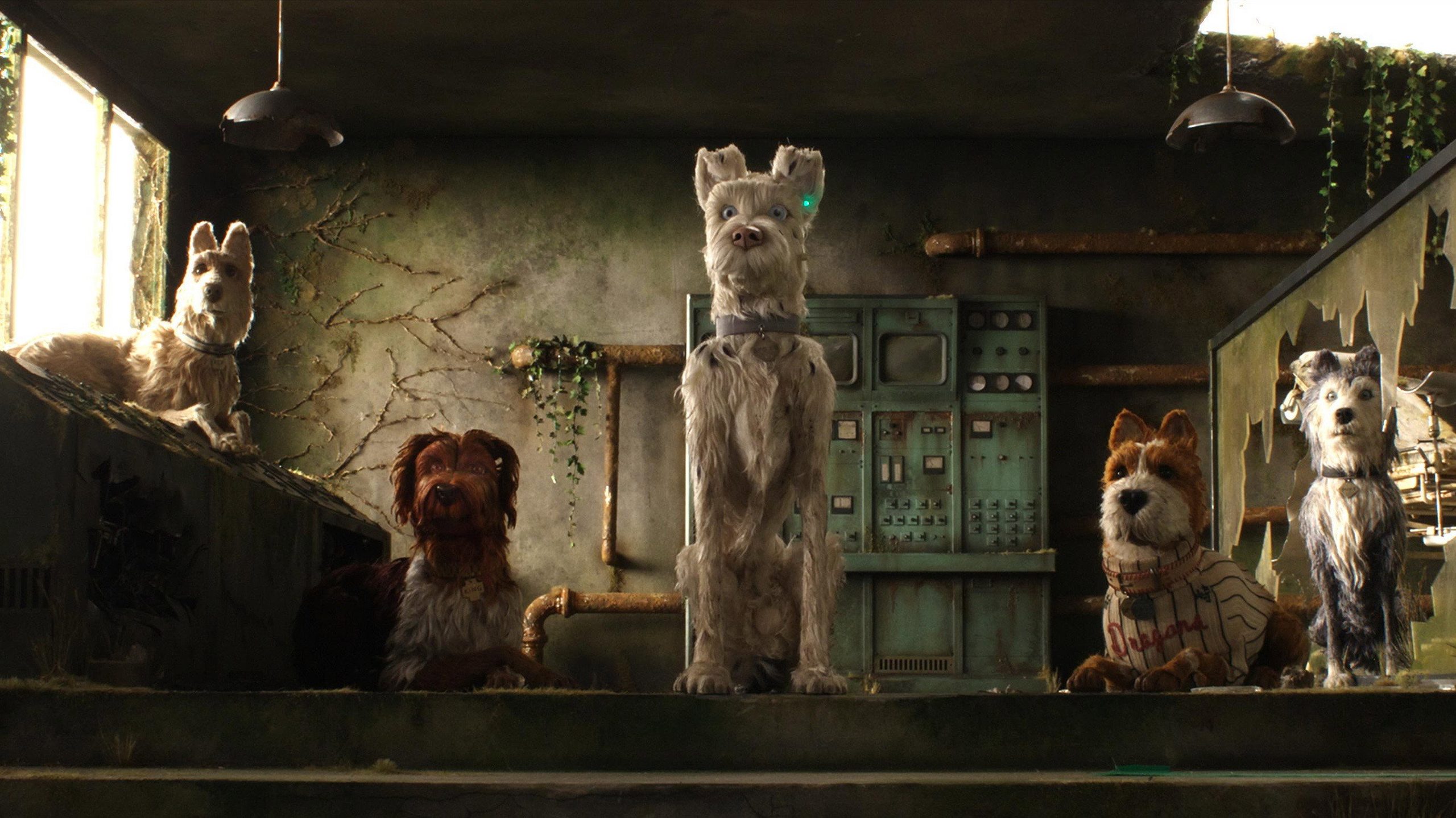 Isle of Dogs, still 5
