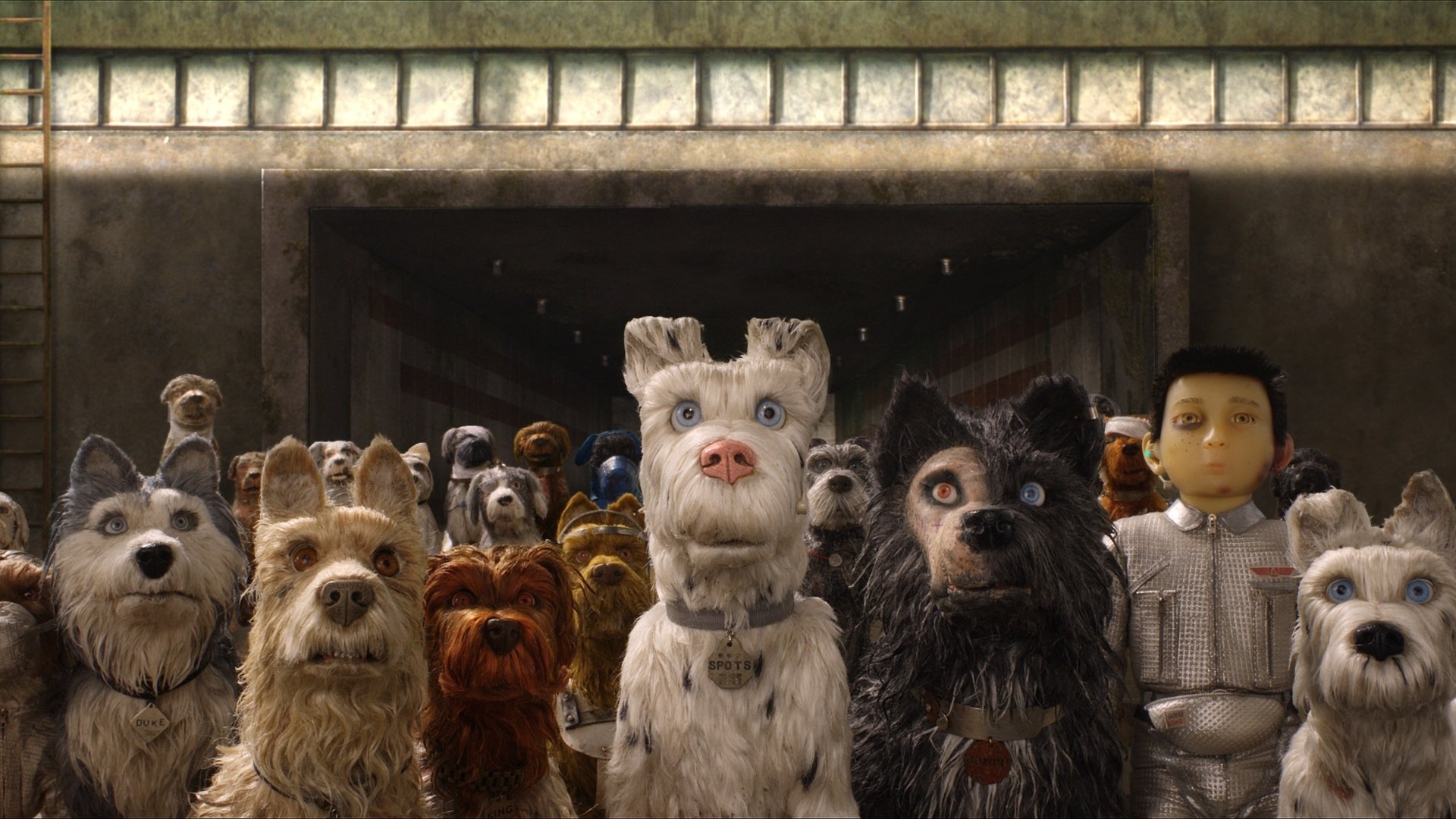 Isle of Dogs, still 2