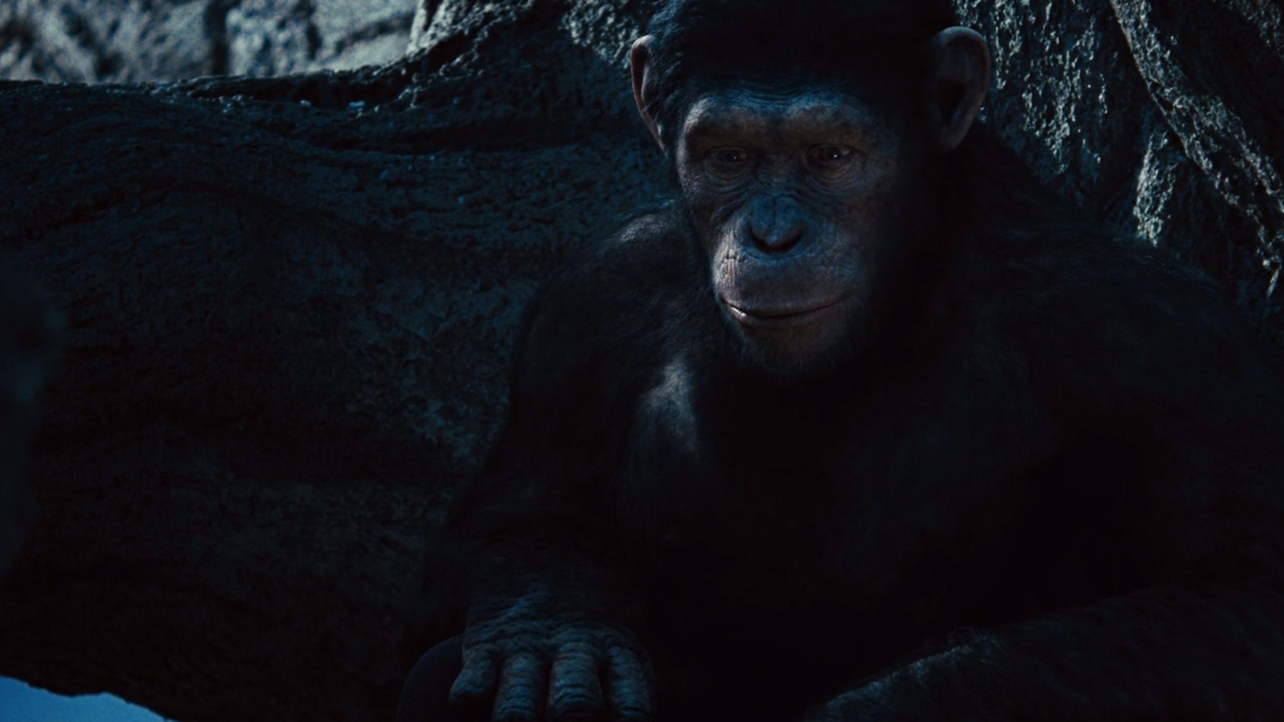 Rise of the Planet of the Apes, still 3