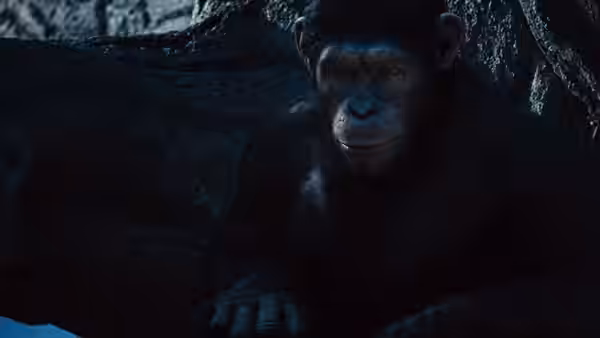 young Caesar (Andy Serkis) resting under a rocky overhang at night