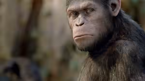 Caesar (Andy Serkis) turning with a serious expression in close-up