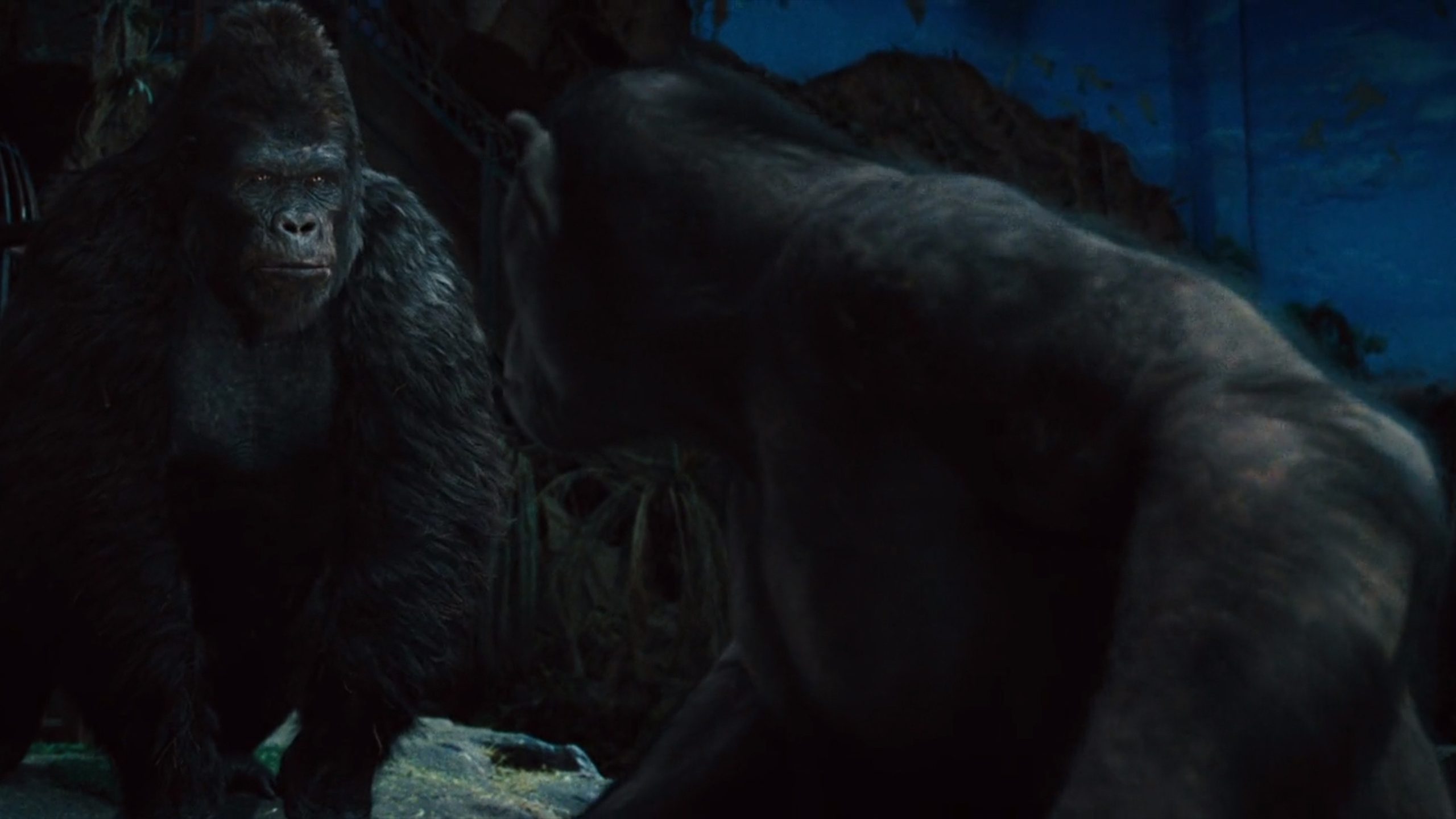 Rise of the Planet of the Apes, still 4