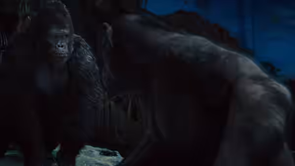 two gorillas facing each other inside a dark enclosure