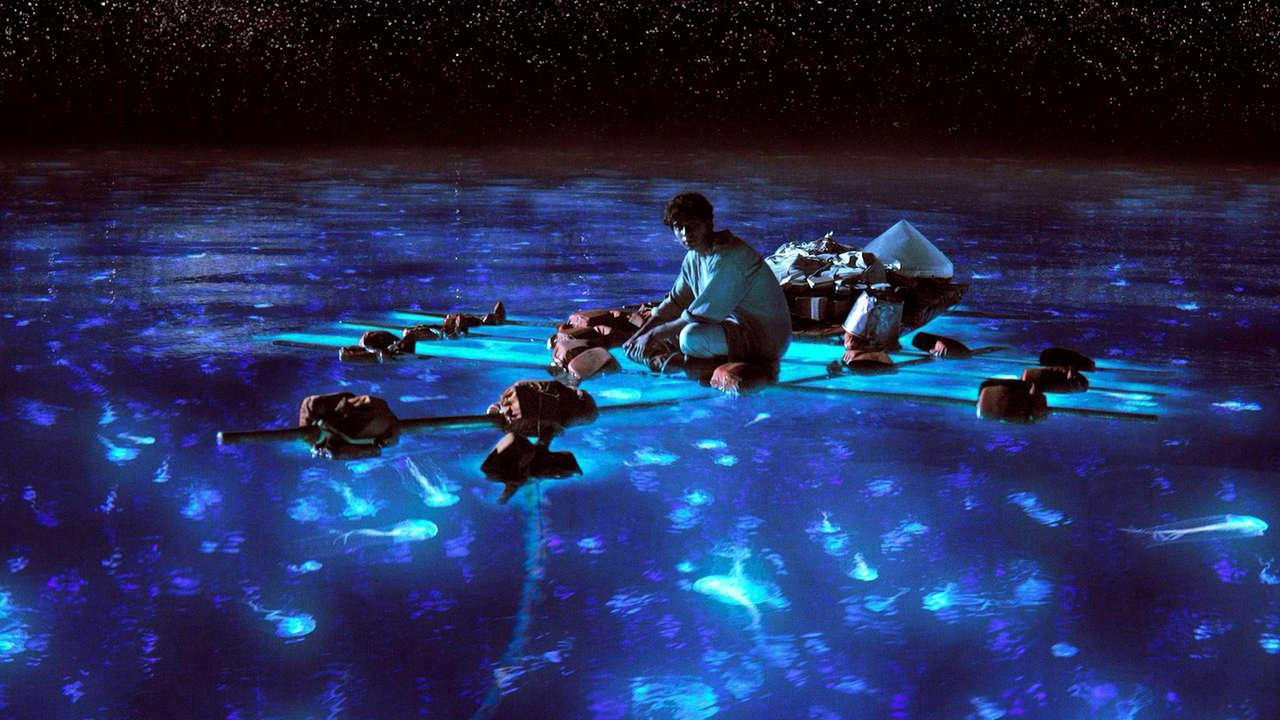 Life of Pi, still 1