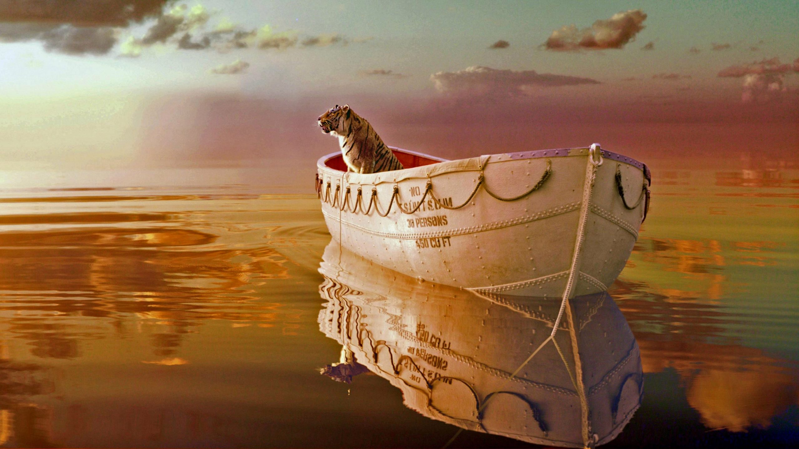 Life of Pi, still 5