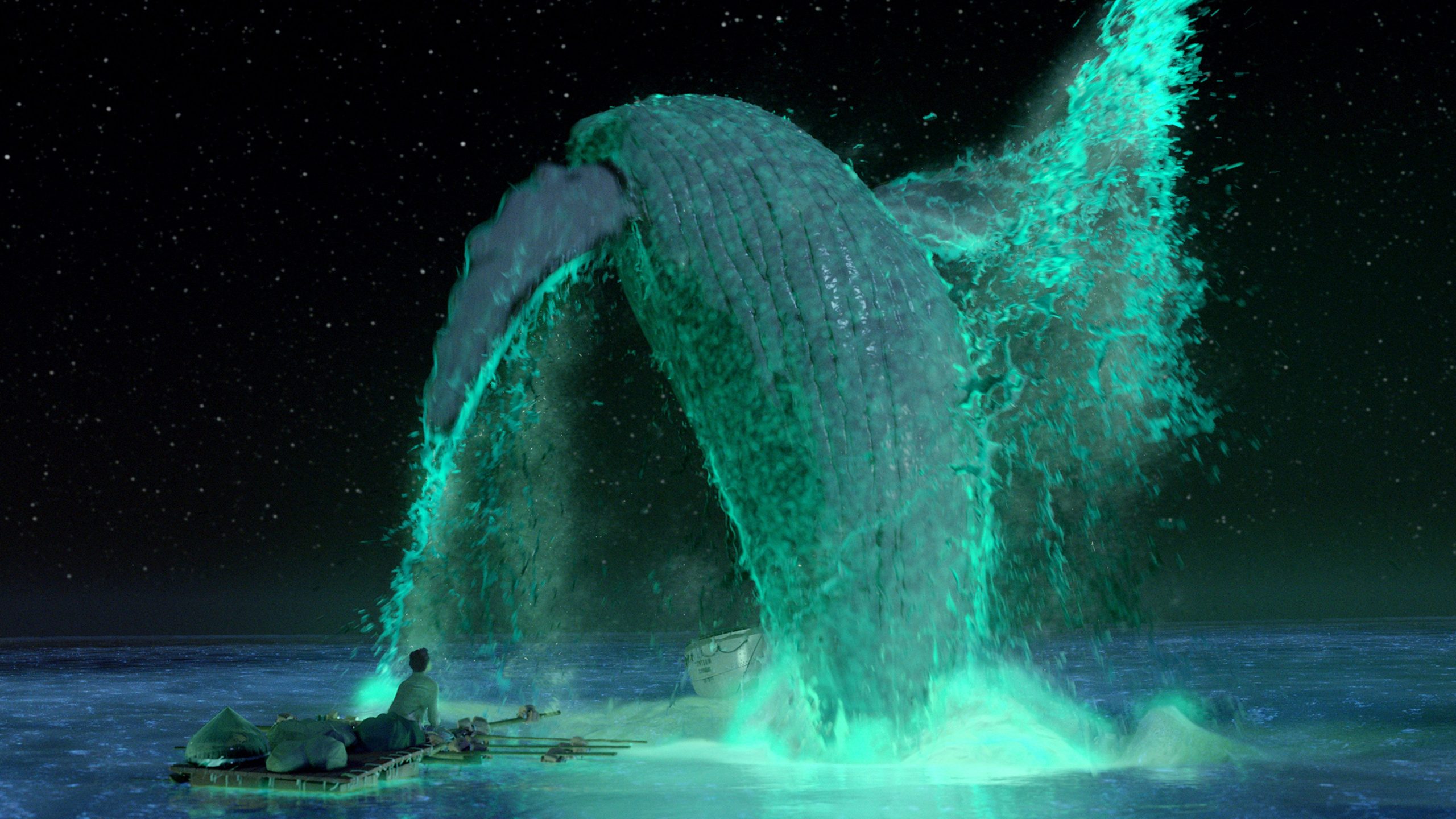 Life of Pi, still 6