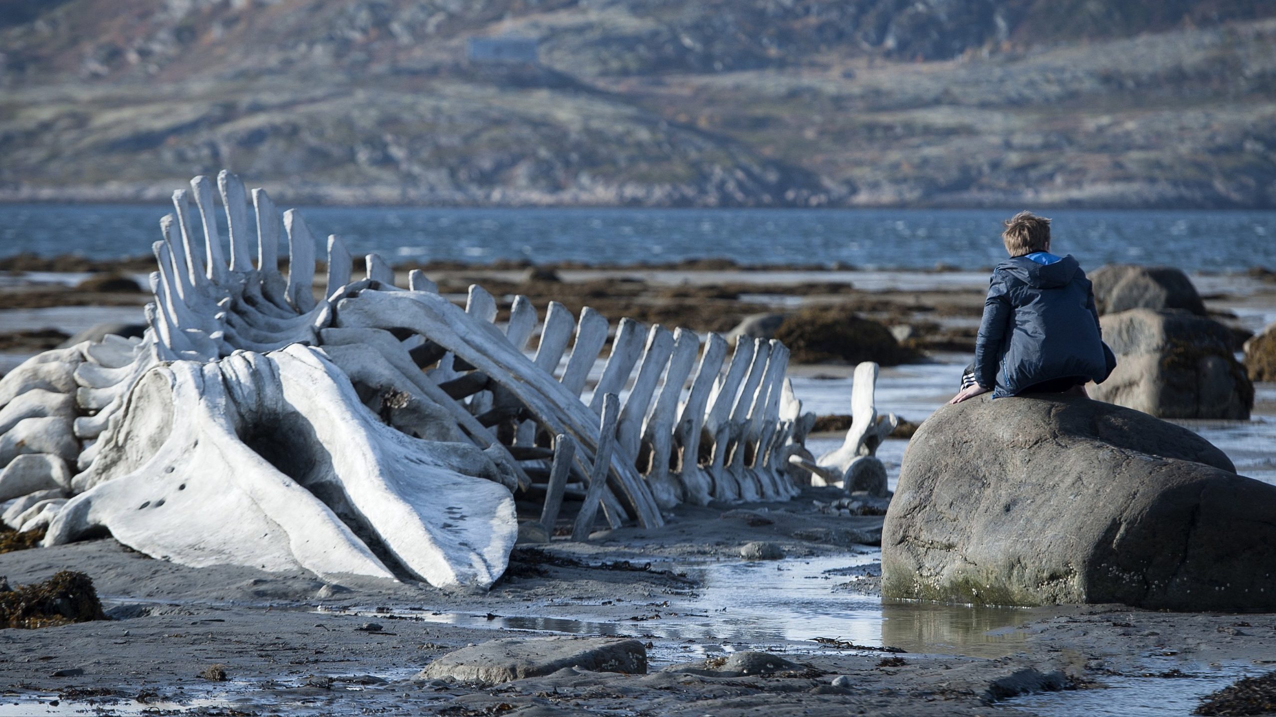 Leviathan, still 2
