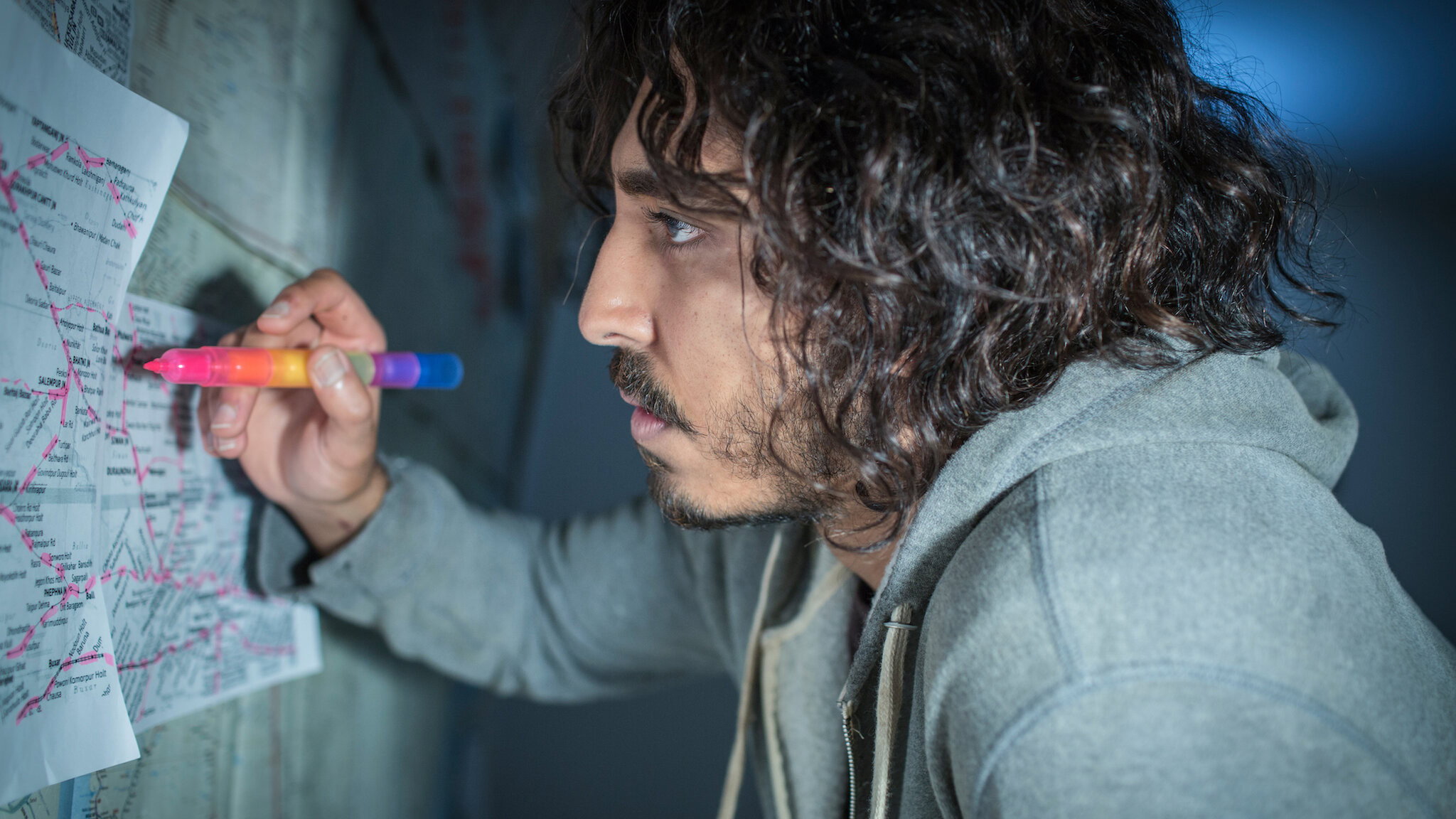 Lion, still 2