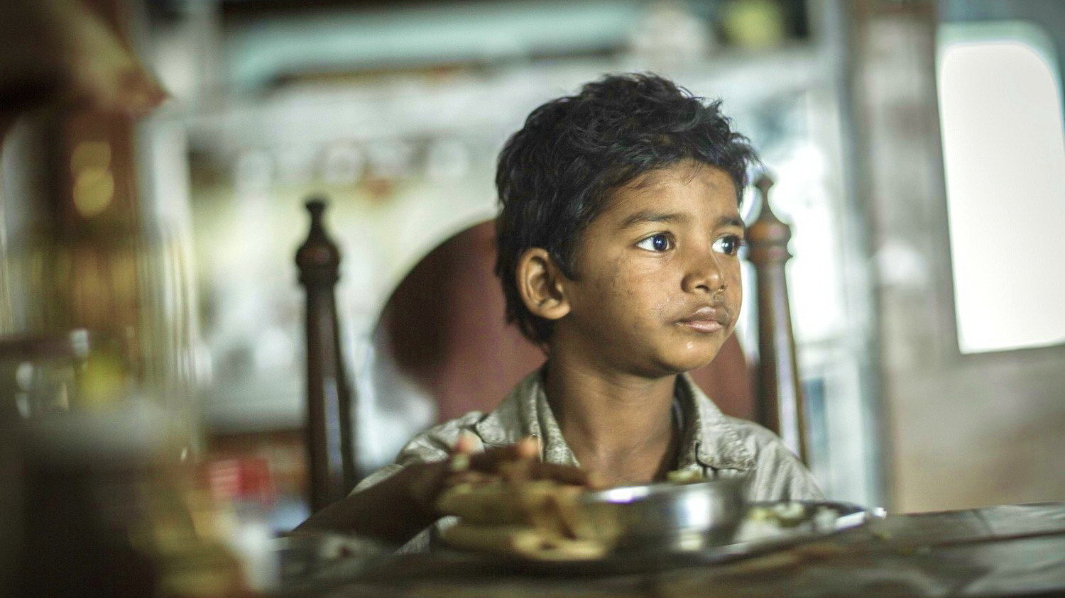 Lion, still 5