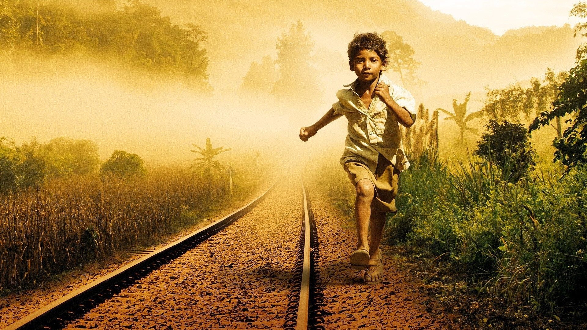 Lion, still 1