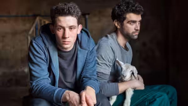 Johnny (Josh O'Connor) and Gheorghe (Alec Secăreanu) sitting indoors with a lamb