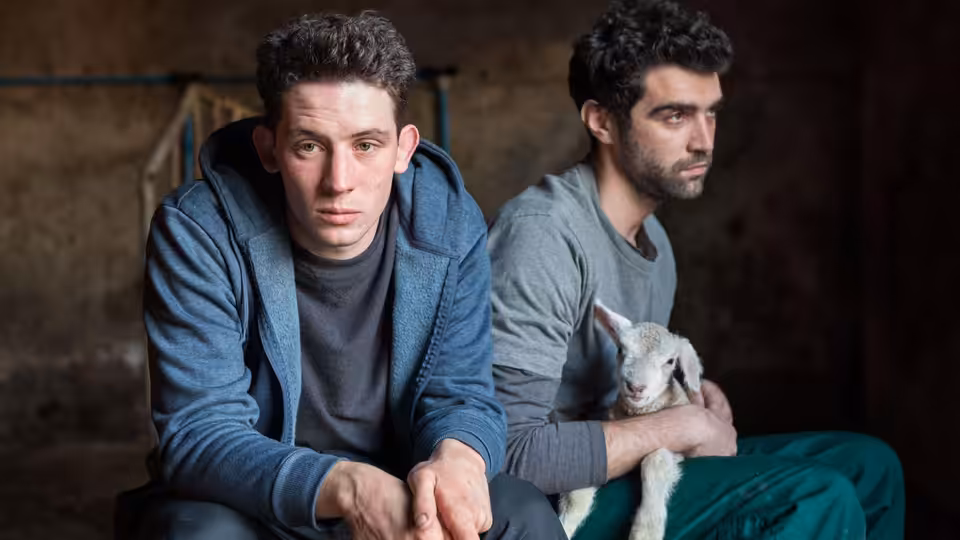 Johnny (Josh O'Connor) and Gheorghe (Alec Secăreanu) sitting indoors with a lamb