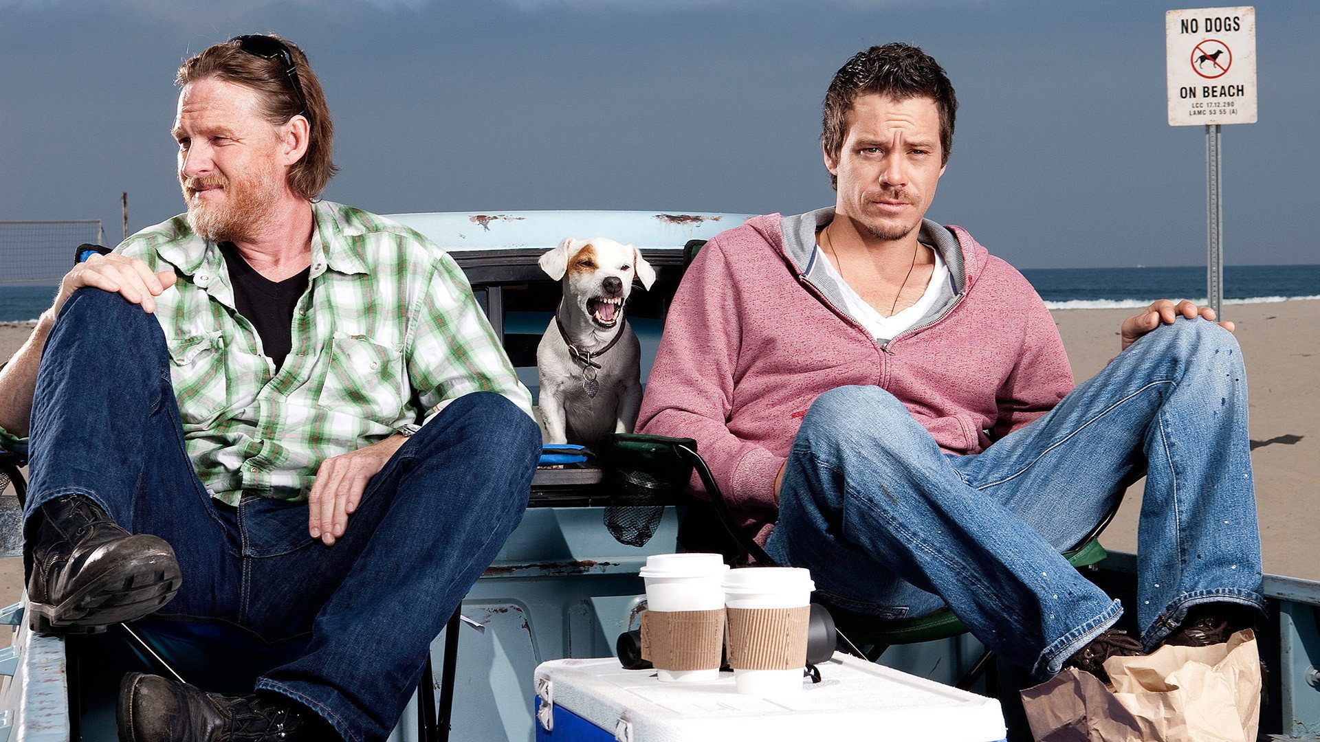 Terriers, still 1
