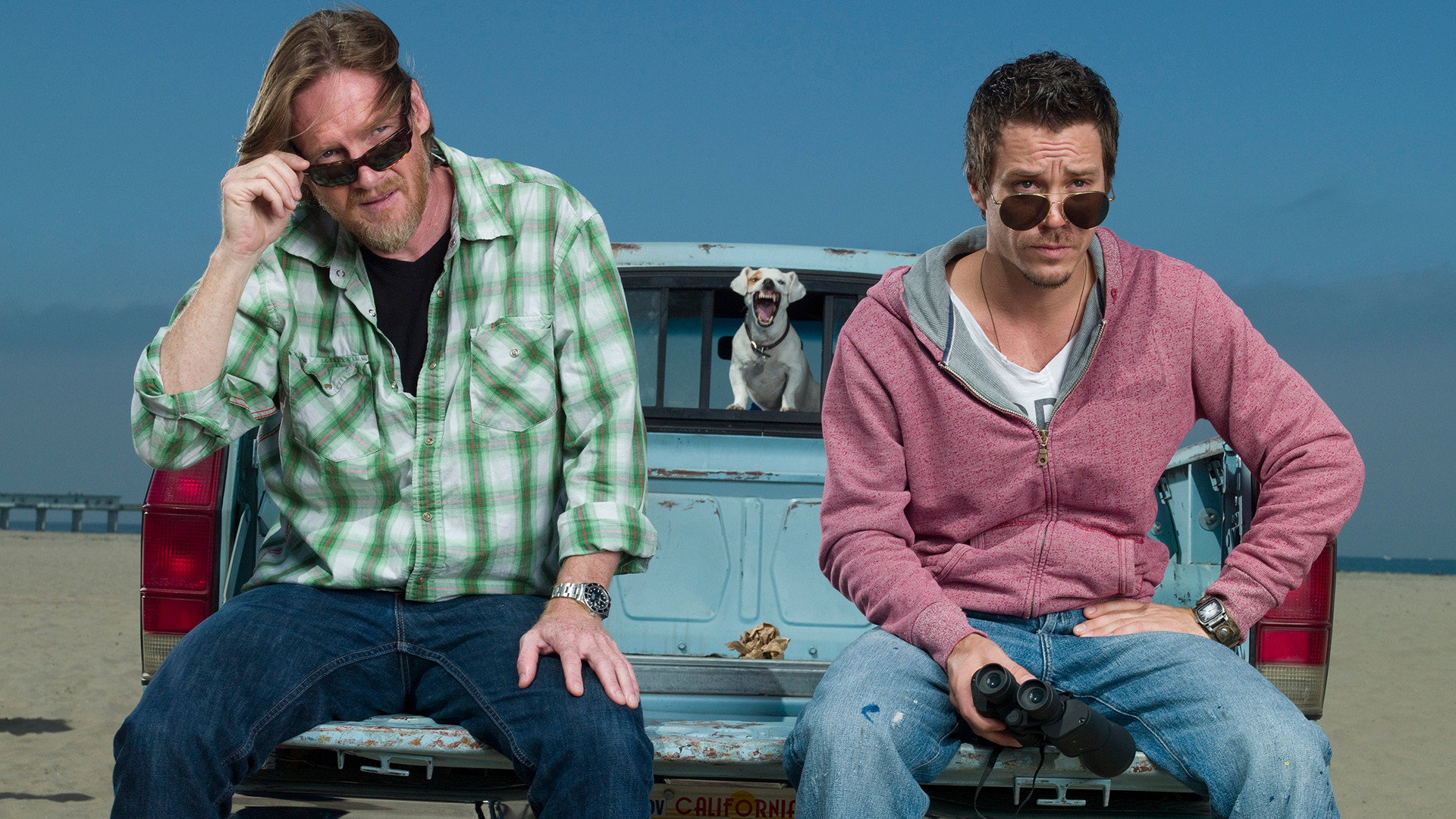 Terriers, still 2