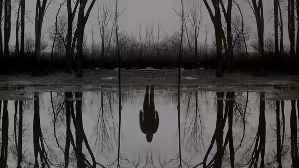 a lone figure standing in shallow water among bare trees