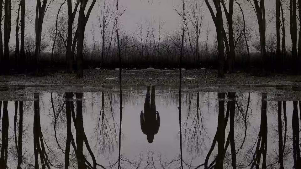 a lone figure standing in shallow water among bare trees