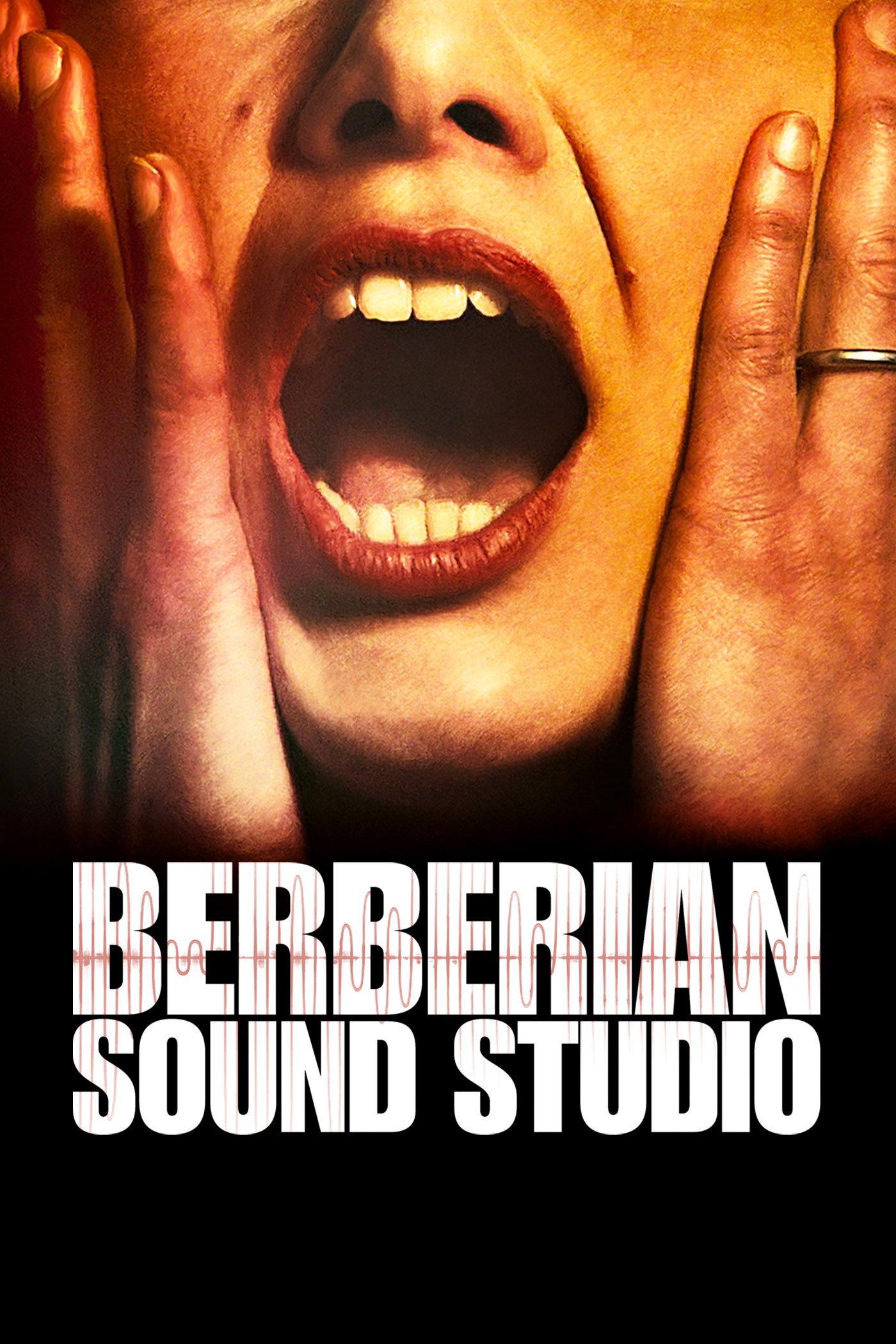 Berberian Sound Studio poster 3