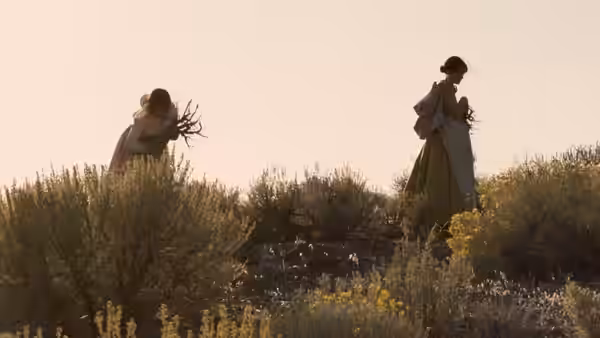 two women gathering branches on a shrubby hillside at dusk