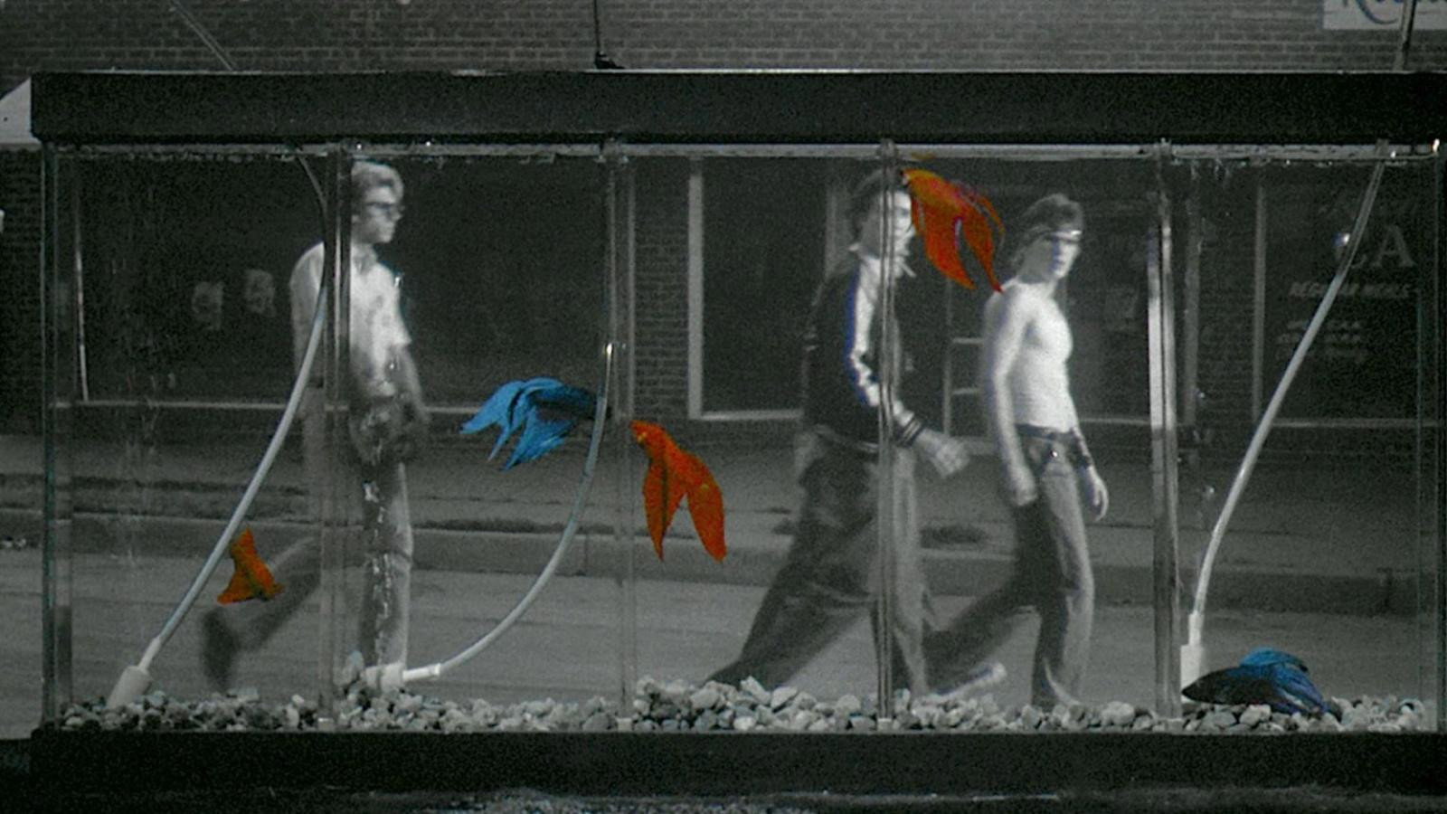 Rumble Fish, still 3