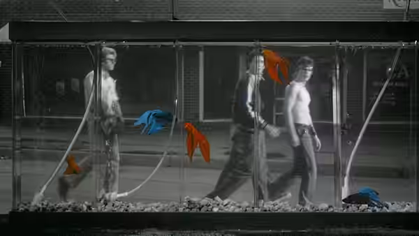 Young men move through a large glass aquarium tank containing colorful swimming fish