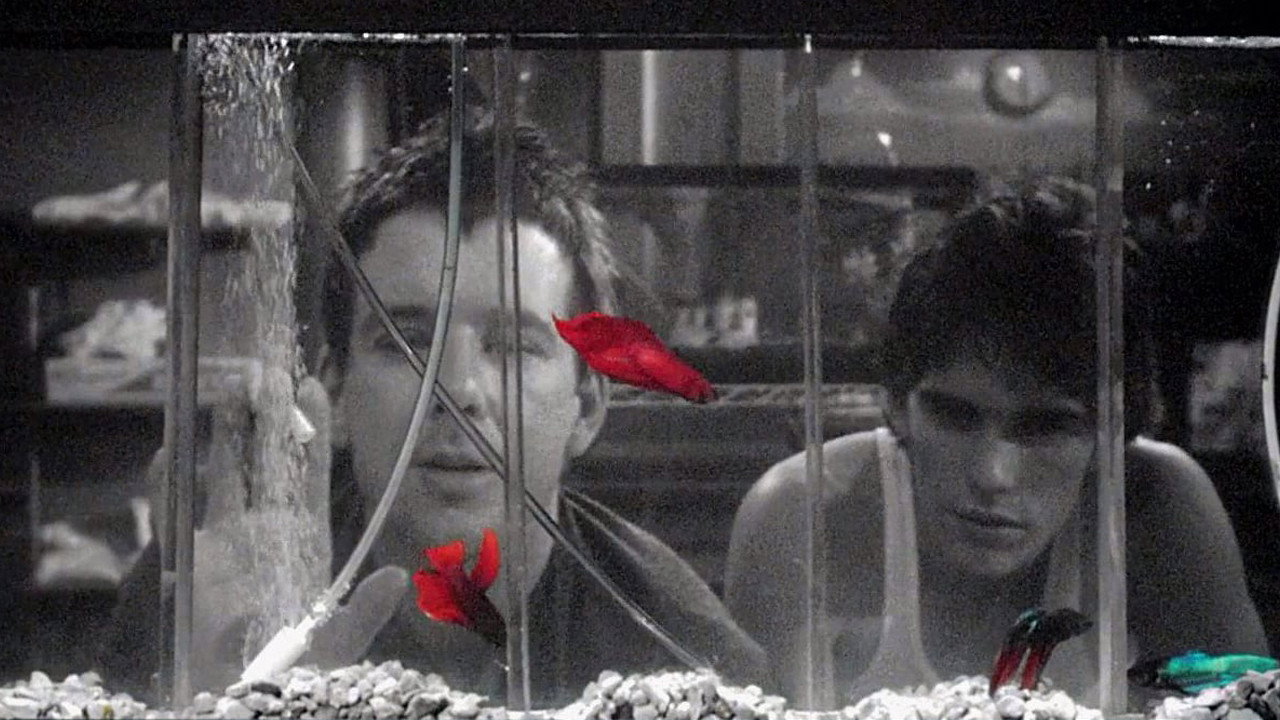 Rumble Fish, still 4