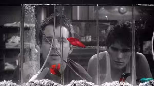 Rusty James (Matt Dillon) and The Motorcycle Boy (Mickey Rourke) watch fish through aquarium glass