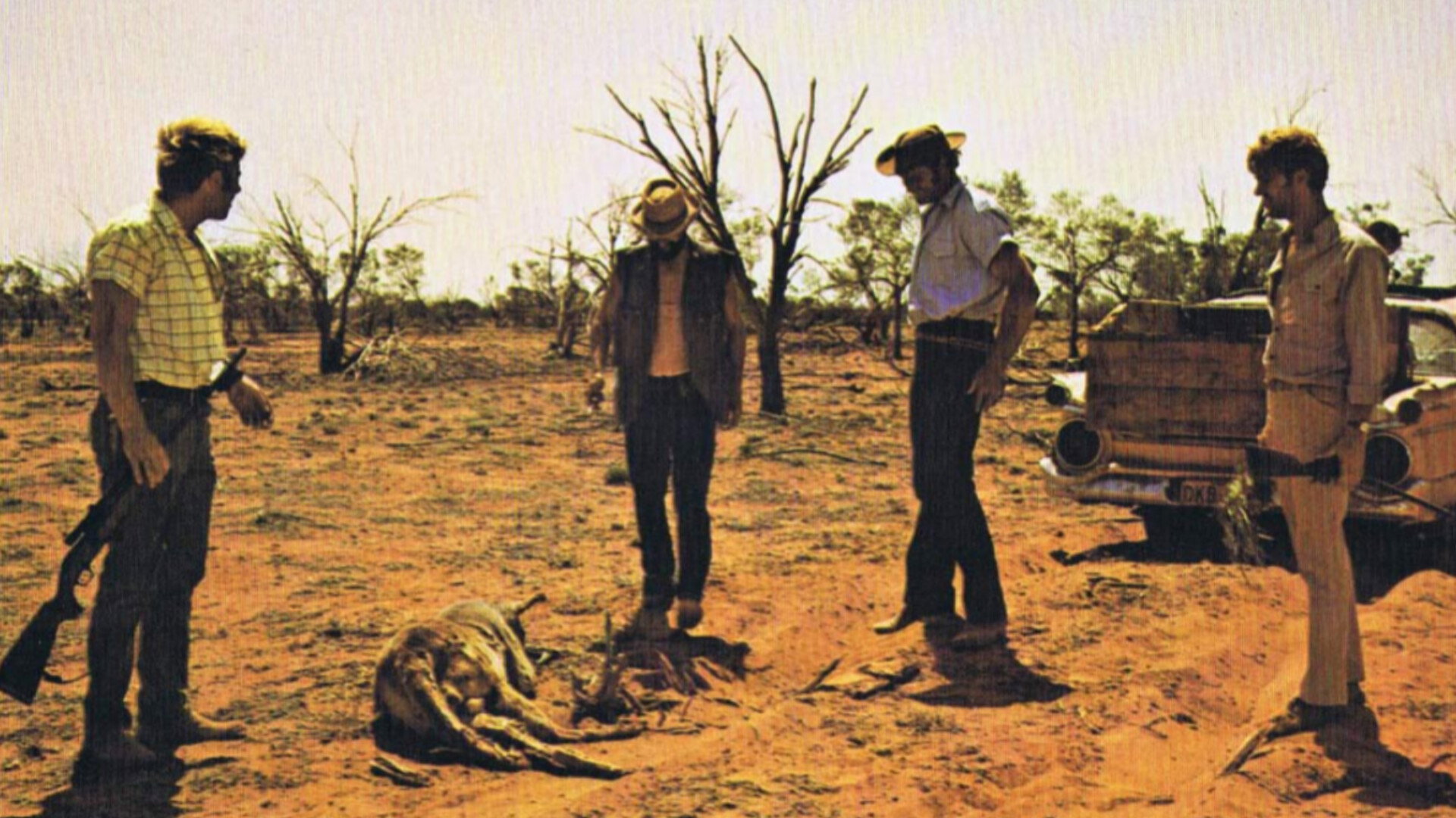 Wake in Fright, still 4