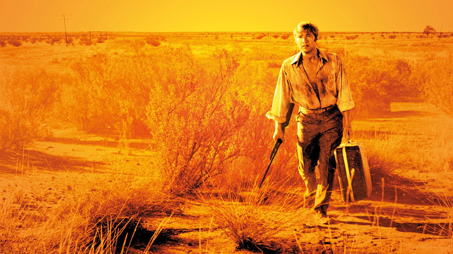 Wake in Fright, still 1