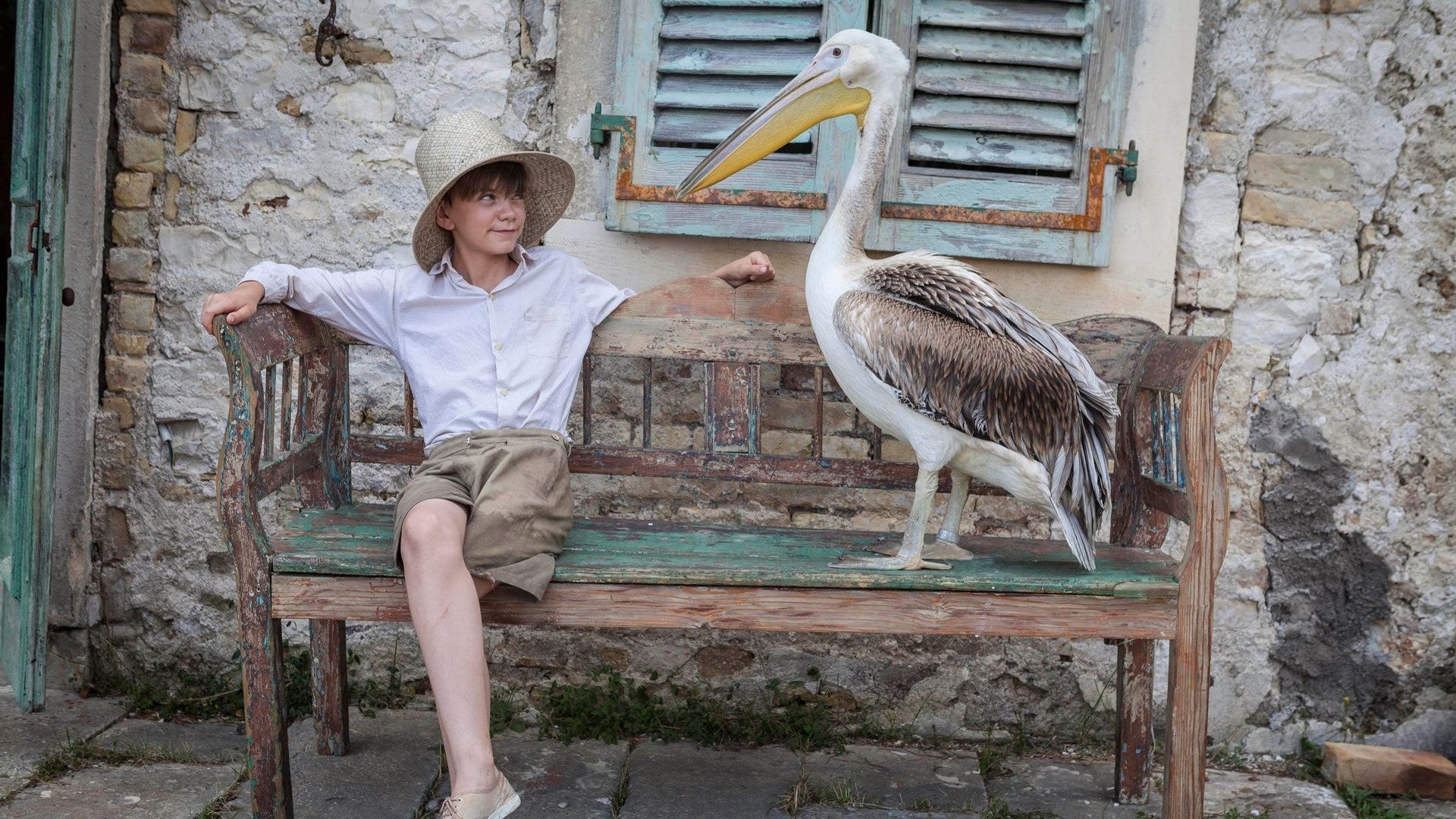 The Durrells, still 3
