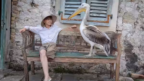 Boy in hat sits on a bench next to a pelican